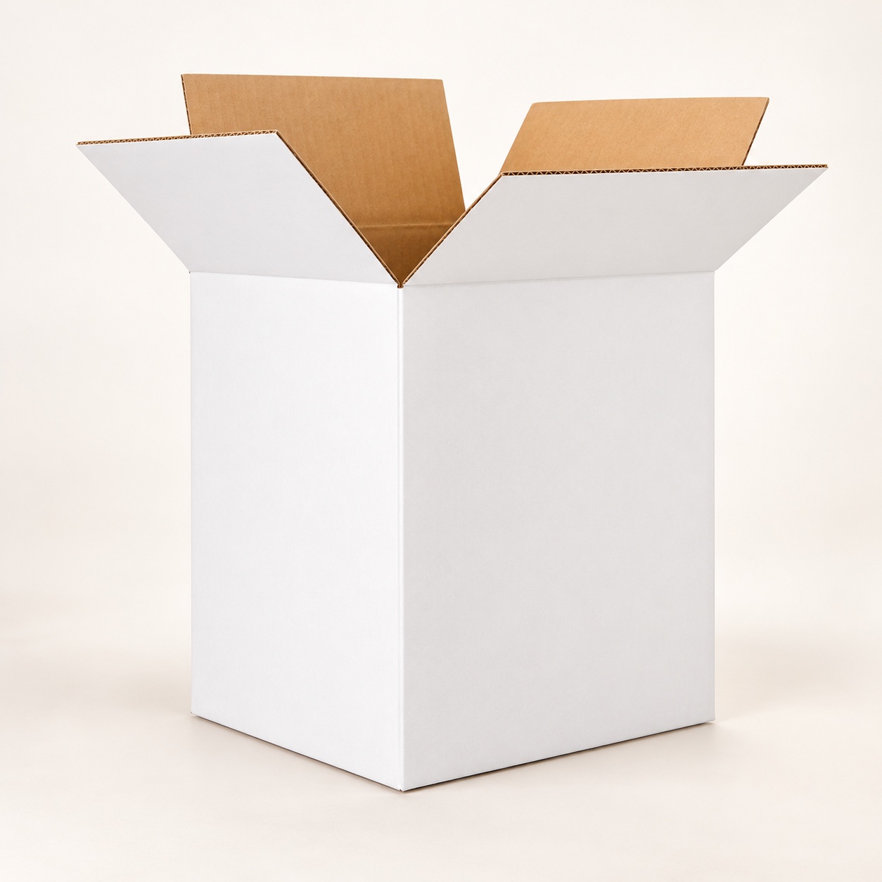 Caisse carton Blanc – 28x21x34 — photo 1 sur 1