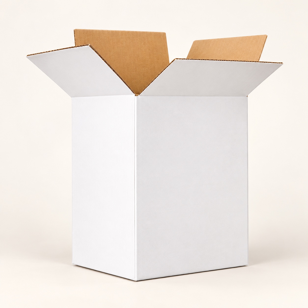 Caisse carton Blanc – 25x16x34 — photo 1 sur 1