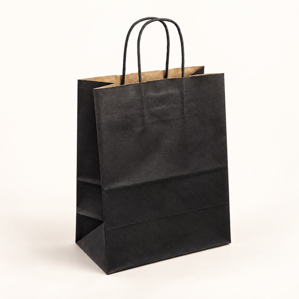 Sac Papier Noir Premium à Poignées Torsadées – 13x8x21