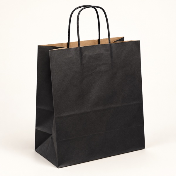 Sac Papier Noir Premium à Poignées Torsadées – 22x11x27