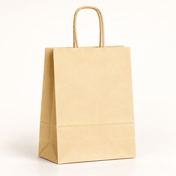 Sac Papier Nude Premium à Poignées Torsadées – 16x8x22