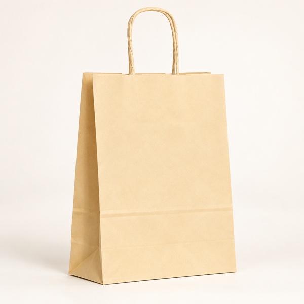 Sac Papier Nude Premium à Poignées Torsadées – 31x12x42